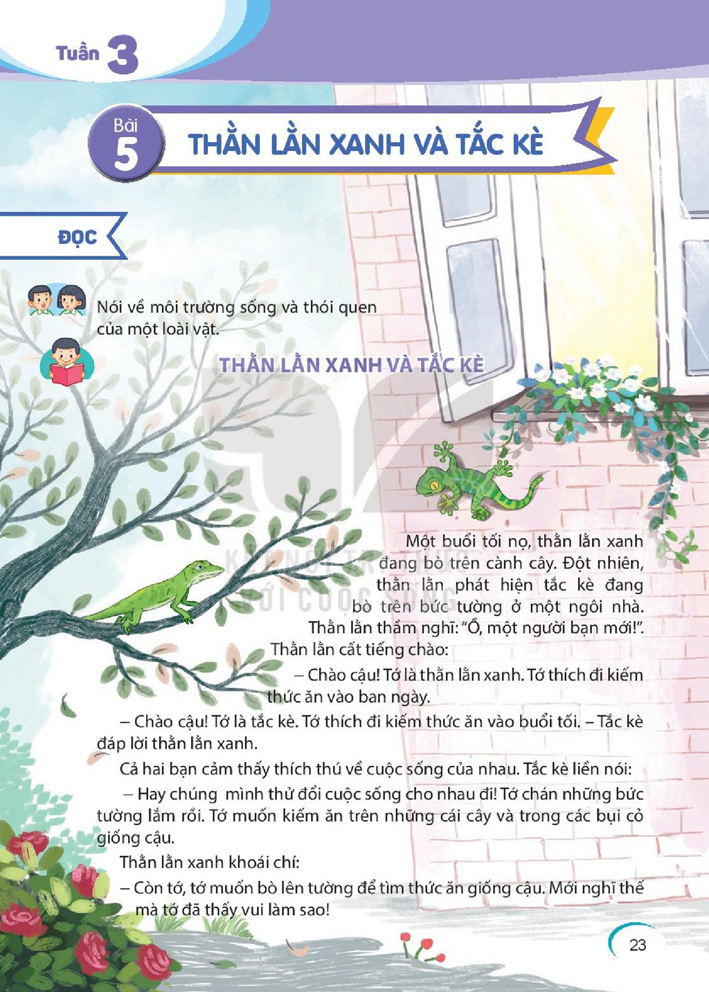 Xem trước Bài 5: Thần lằn xanh và tắc kè