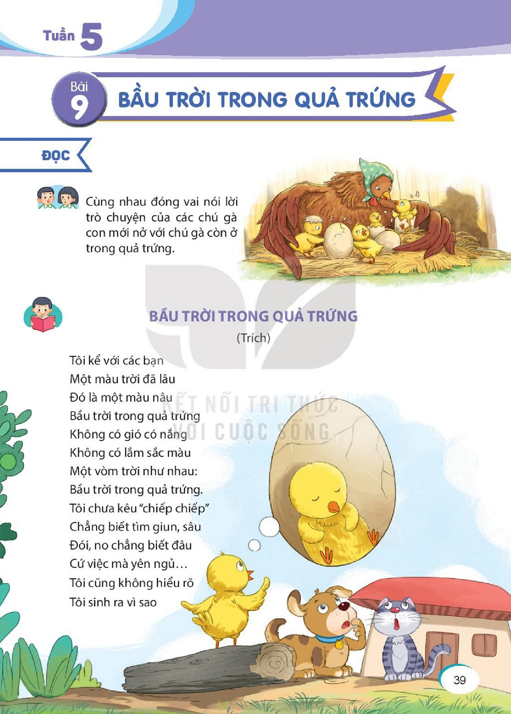 Xem trước Bài 9: Bầu trời trong quả trứng