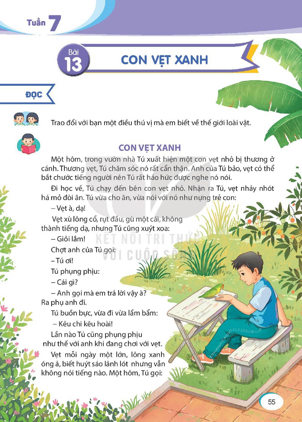 Xem trước Bài 13: Con vẹt xanh